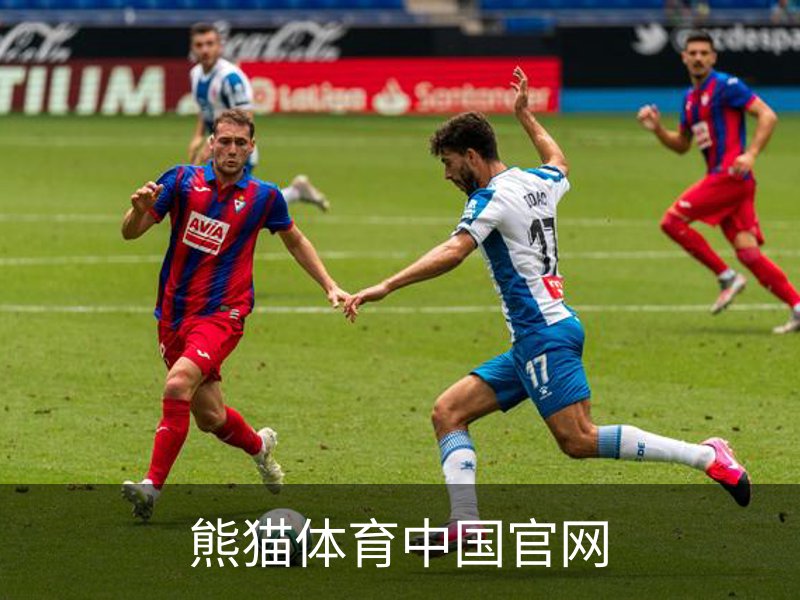 熊猫体育中国官网概况